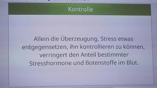 Achtsamkeitsbasierte Stressreduktion von Dr. Christina Brauer-Peters