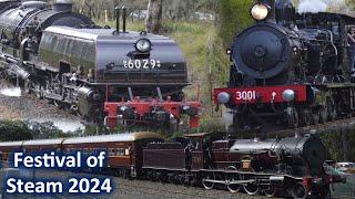 The 2024 Thirlmere Festival of Steam; 1 Hour of Steam Trains! Ft. 3001, 3265, 4001 & 6029
