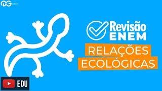 Revisão ENEM: Relações Ecológicas