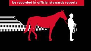 Horse Racing Kills!