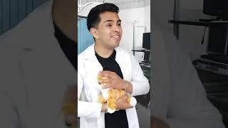 Si los veterinarios fueran honestos | Esen_Alva |