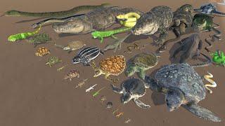 Reptile Size Comparison in 3D Animation | Realistic World Data