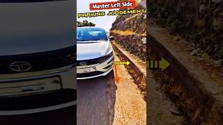 Perfect Left Parking Judgement 