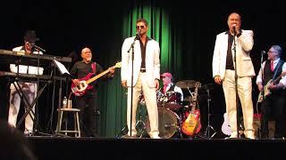 JIVE TALKIN:BEEGEES TRIBUTE "Staying Alive" & You Should Be Dancing"