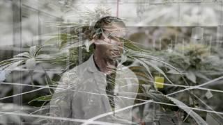 Cresco Labs Cultivation site tour