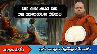 සිත අවබෝධ කර ගනිමු  (Ven.Hasalaka Seelavimala thero) Sangha Dhara - සංඝ ධාරා