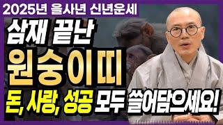 [2025년 을사년 원숭이띠] 삼재 끝난 원숭이띠! 돈과 사랑 그리고 성공까지 모두 쓸어 담으세요