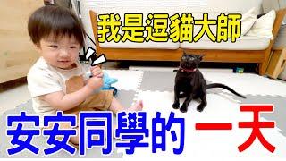 安安同學的一天 | 貓奴訓練從小開始  安安開始學說話了？(1Y3M) -恩恩老師EanTV