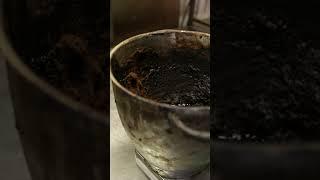 This is how glasses are made from coffee grounds. #coffee #glasses #ecofriendly