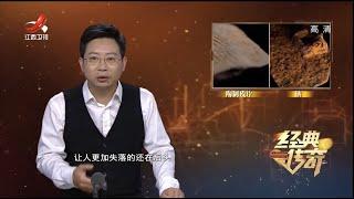 《经典传奇》惊天大墓不见冢：神秘的地下军团之谜 20210823