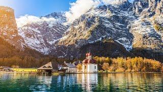 The Hidden Wildlife Within Germany's Breathtaking Alpine Landscapes