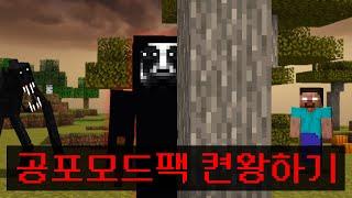 절대 안하려 했던 *공포모드 모드팩* 으로 드래곤까지 켠왕하기