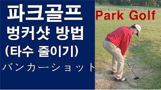 파크골프 벙커샷 타수줄이기