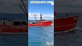 Fleet Fisheries Inc. Premium Sea Scallops - From The Sea to The Shore To Your Door!