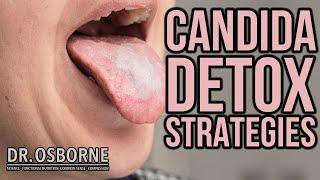 Candida Detox Strategies (And Other Questions) Answered! - PDOB Thursday Q&A