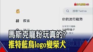 推特的藍色小鳥呢? 馬斯克曬迷因圖讓柴犬當家 好巧?狗狗幣盤中大漲30%...｜非凡財經新聞｜20230404