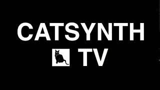 CatSynth TV!