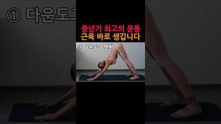 중년기 최고의 운동! 근육 바로 생깁니다