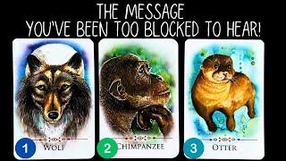 The Message You've Been Too Blocked To Hear? pick a card 🃏tarot card reading