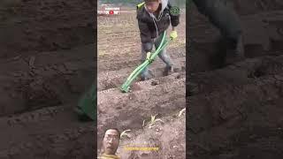 #farming #agriculture #shortvideo Dụng cụ phục vụ sản xuất nông nghiệp thông minh