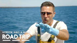 Oyster Picking with Gino | Gordon, Gino, and Fred's Road Trip