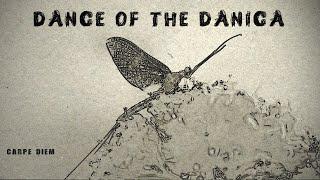 Dance of the Danica