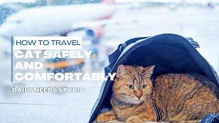 How to Travel with a Cat Safely and Comfortably