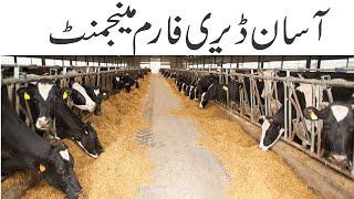 Dairy Farms pay Feed store ko saaf rakhna bhut zarori hy