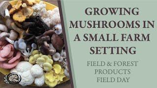 Growing Mushrooms in a Small Farm Setting: Field & Forest Products Field Day Recap