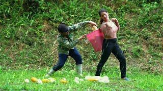 bad guy appears, farm, girl afraid to pick, pick beard to sell, farm renovation \ LÝ SÙNG