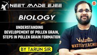 NEET Botany 2025 | Understanding Steps in Pollen Grain Formation | Tarun Sir