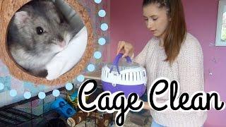 Hamster Cage Clean & Evening Pet Jobs