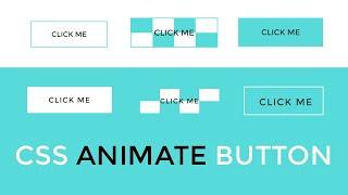 CSS Buttons With Hover Animation | HTML & CSS | Web Cifar 2020