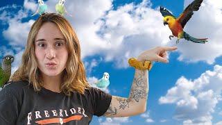 We bought ALL THE BIRDS at the Pet Store!!