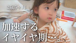 【年子育児】加速するイヤイヤ期と毎日格闘中！ママの疲れも爆発寸前！！【ルーティン】