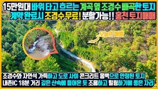 매물번호637 바위를 타고 흘러 ,내려가는 계곡물 토지내 조경수 가득 울창하게 우거진 산림과 장대한 나무들이 가득 차 있는 토지매매 홍천부동산