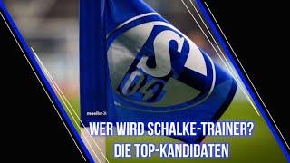 Wer wird Schalke-Trainer? Die Top-Kandidaten der Königsblauen