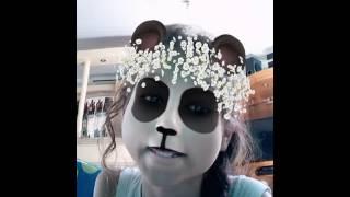 Snap (panda)