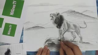 How to Draw a Lion | Pencil Art | MitGreen TV