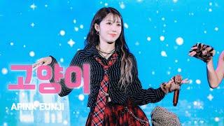 [4K] 241221 에이핑크 정은지 ‘고양이’ 직캠 | PINK CHRISTMAS