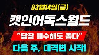 [긴급속보]03월14일(금)캣인어독스월드"당장 매수해도 좋다"다음 주, 대격변 시작!#캣인어독스월드 #캣인어독스월드코인 #캣인어독스월드전