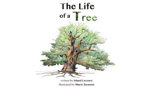 The Life Of A Tree - Childrens Books For All Ages  #shorts