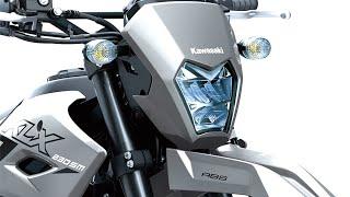 2024 Kawasaki Klx230sm,