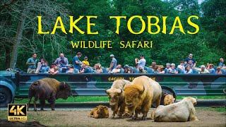 Open air wildlife safari ride | Lake Tobias wildlife park Pennsylvania