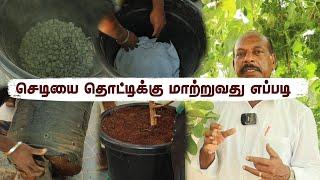 50% மக்கள் மாடித்தோட்டத்தில் இதை செய்வதில்லை? DIY: Your Terrace Garden Potting Technique 🪴