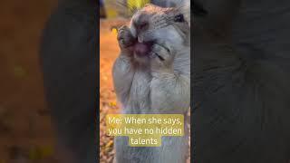 Hidden talents