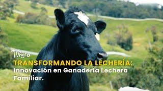 Transformando la Lechería: Innovación en Ganadería Lechera Familiar - TvAgro por Juan Gonzalo Angel