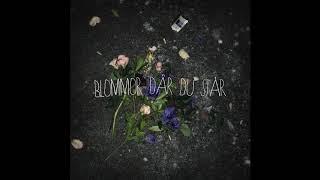 GAMMAL - Blommor där du står (Victor Bergman Remix)