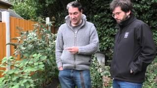 A guided tour of a hedgehog friendly garden