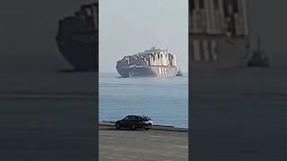 msc container ship rolling  || #shorts